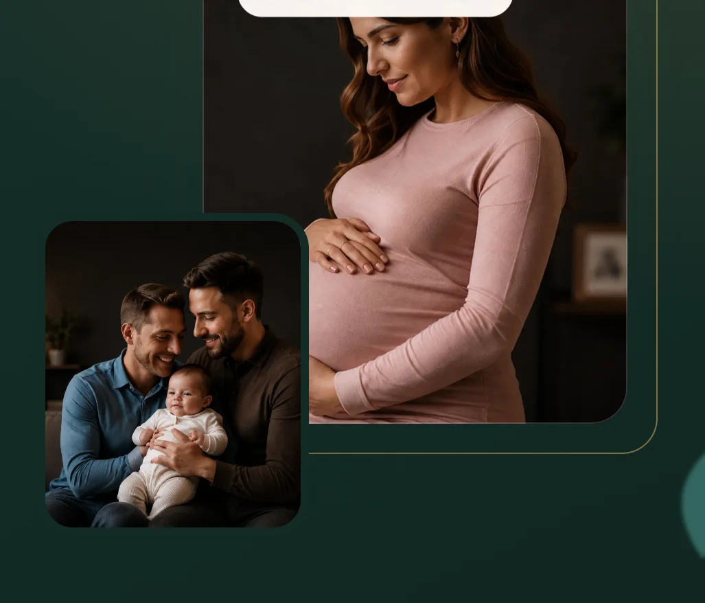 My Agency IVF website (GoHighLevel project)