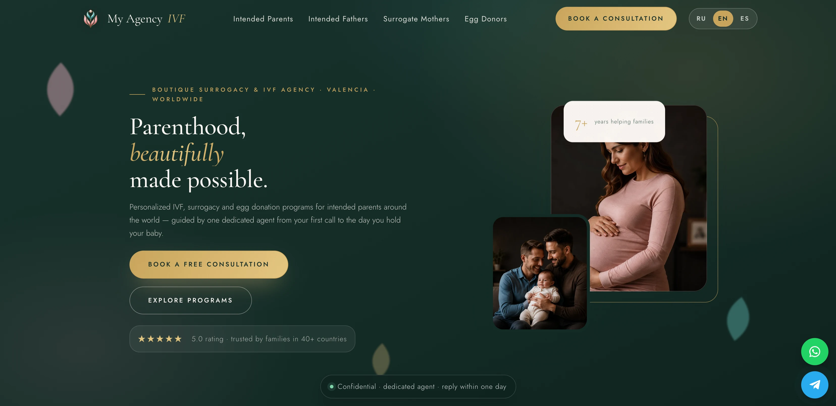Home page of the My Agency IVF website, designed and built by Tocal IT Works in GoHighLevel